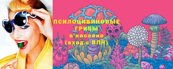 apvp Алзамай