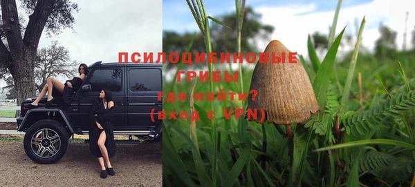 apvp Алзамай