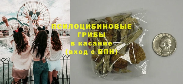 apvp Алзамай