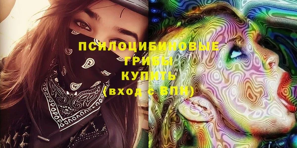 apvp Алзамай