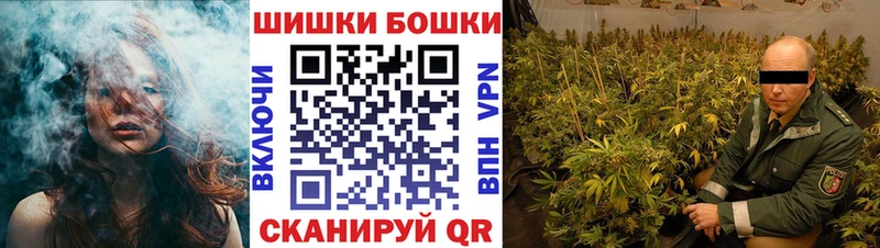 Конопля сатива  площадка какой сайт  Грайворон  кракен ONION 